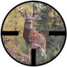 Оптический прицел LEUPOLD VX-3 3,5-10X50MM METRIC MATTE BLACK ILLUMINATED GERMAN-4 DOT